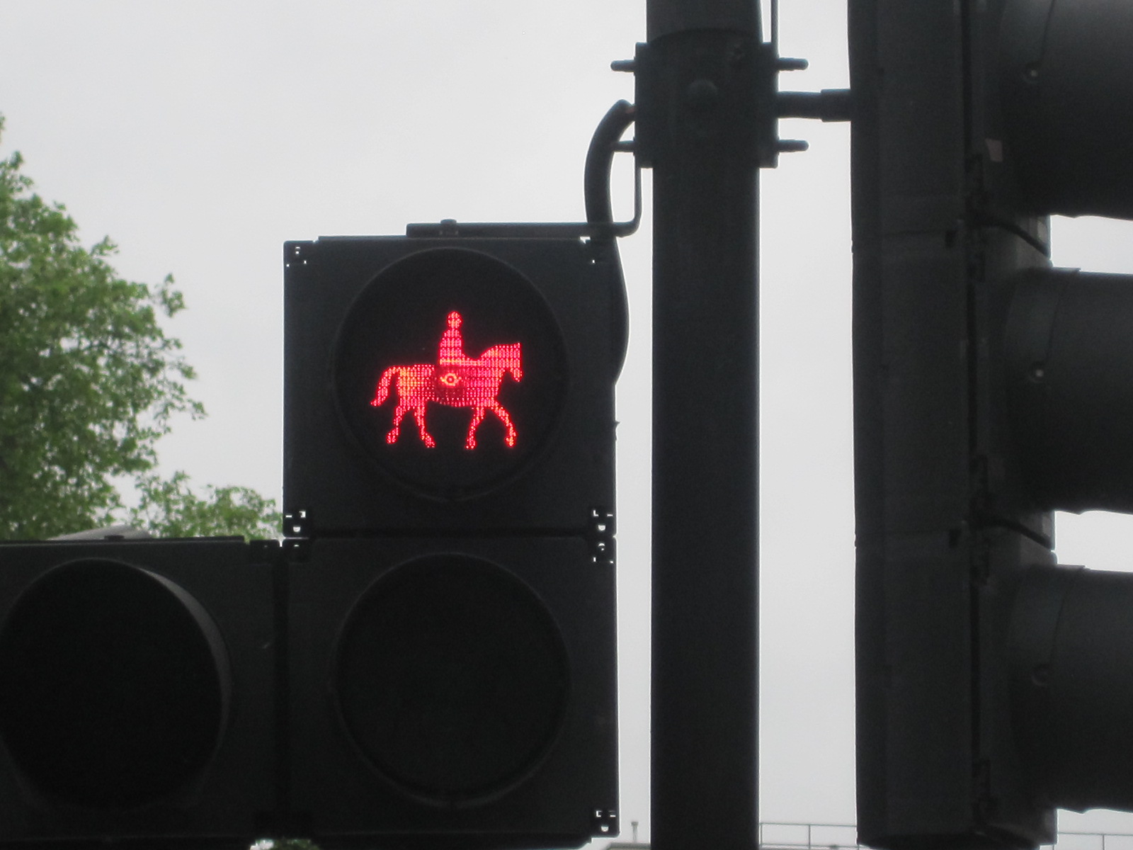 horse crossing light
