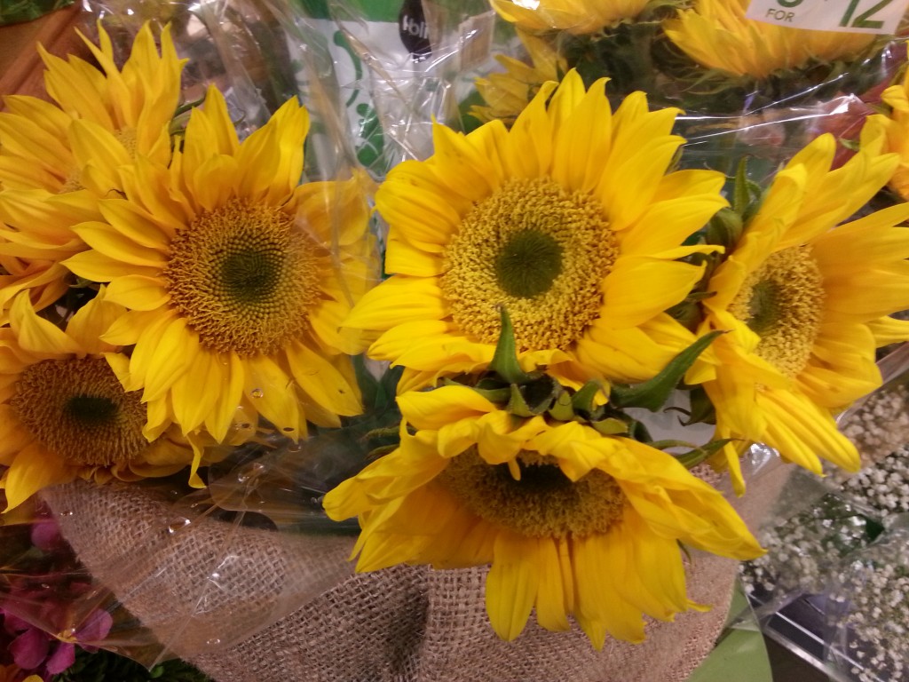 sunflowers publix