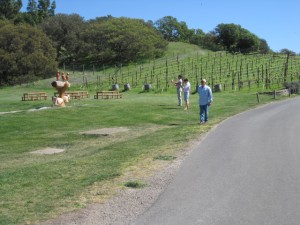 visit-California-wine-country