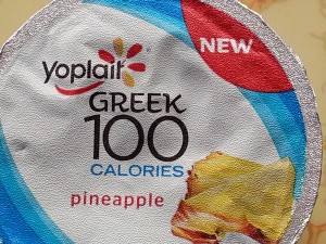 Yoplait-Greek-100